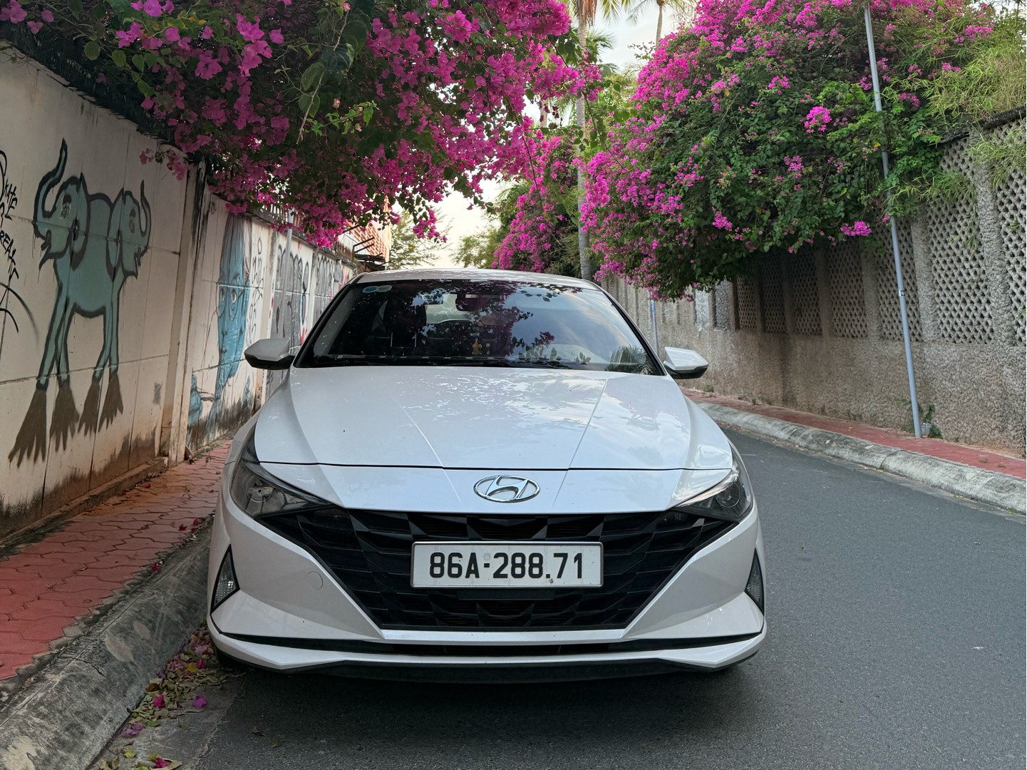 HYUNDAI ELANTRA 2024