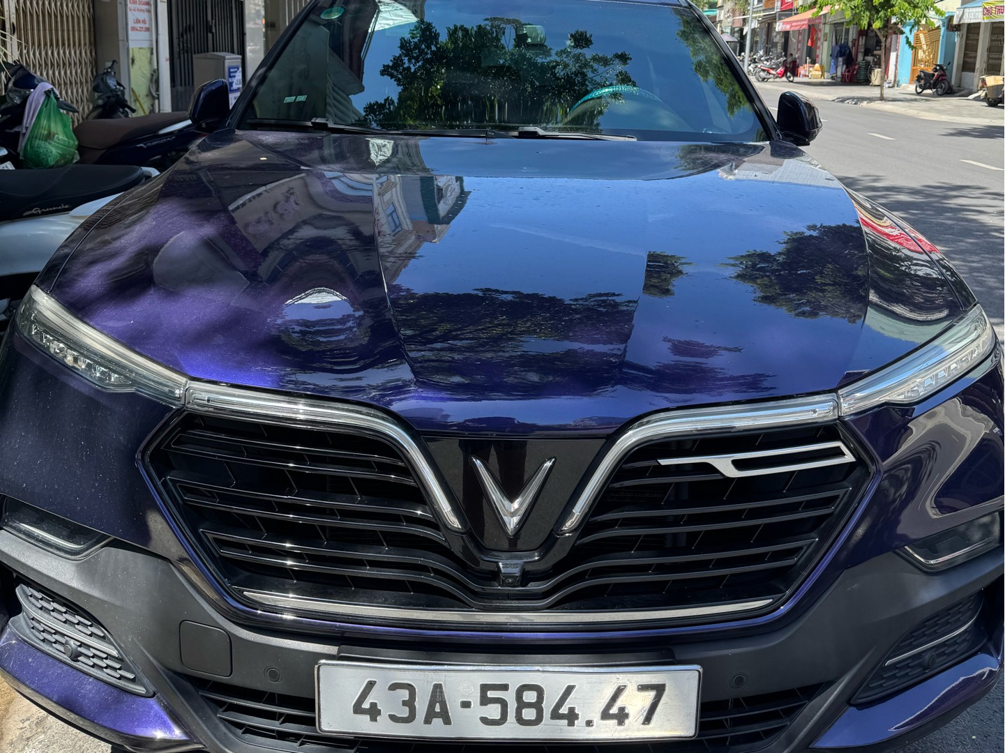 VINFAST LUX SA  2019