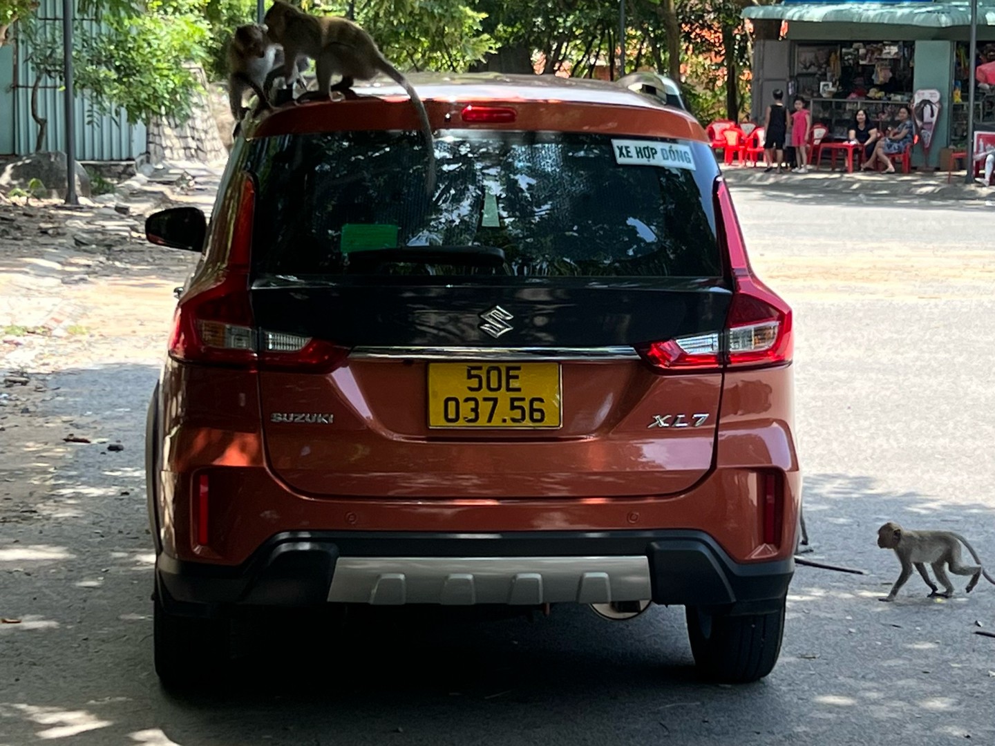 SUZUKI XL7 2022