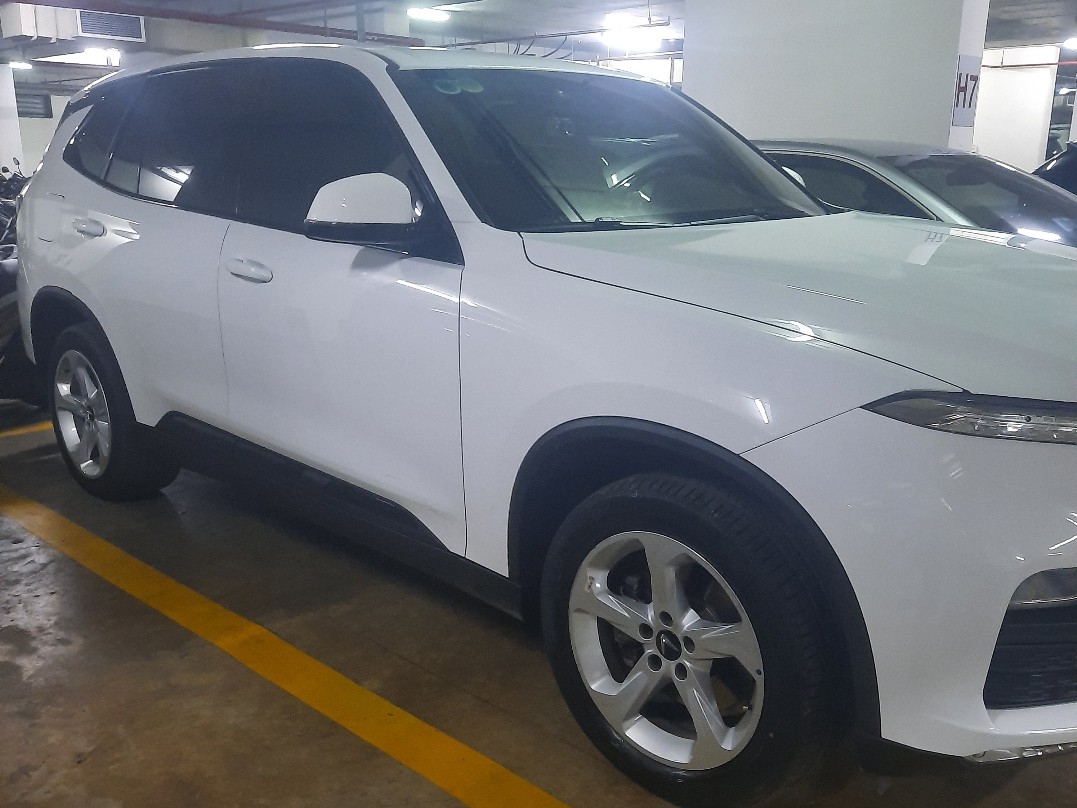 VINFAST LUX SA  2021