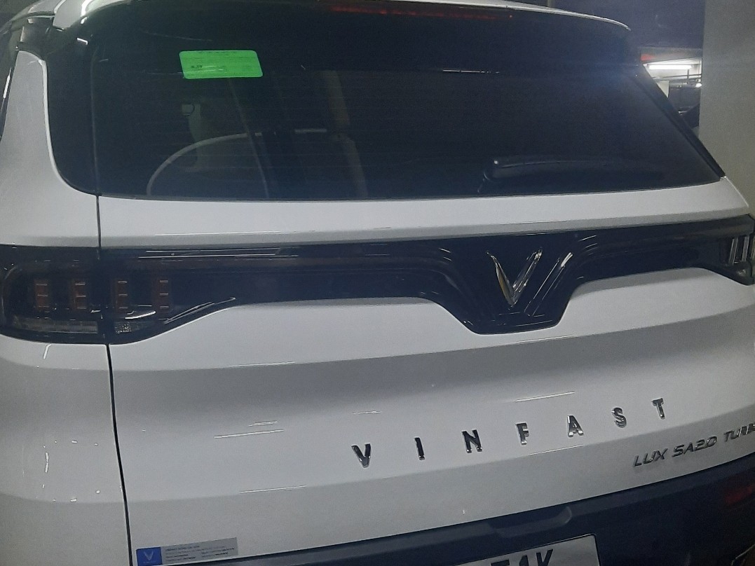 VINFAST LUX SA  2021