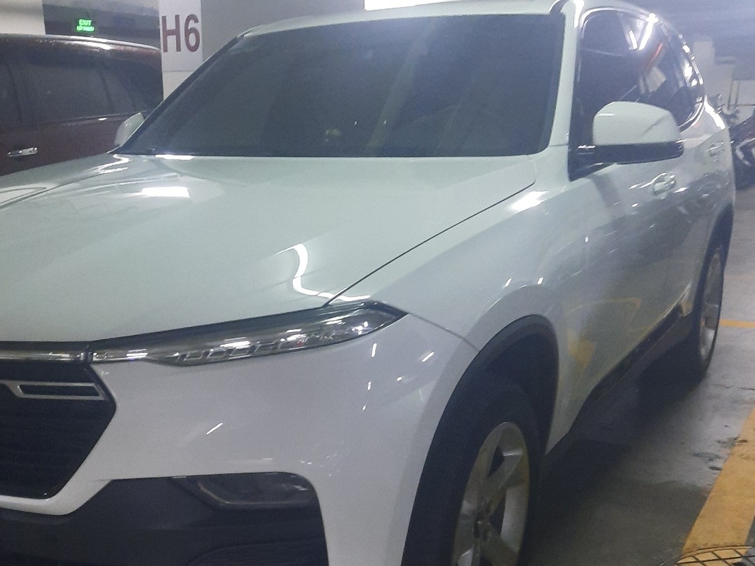 VINFAST LUX SA  2021